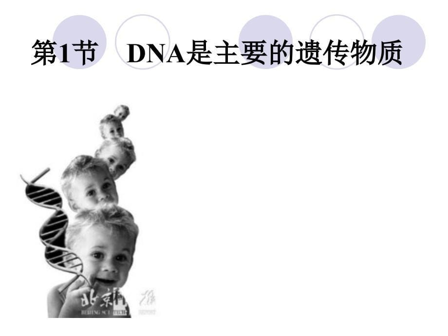 广东省惠东县平海中学生物(人教版)必修二：3.1-DNA是主要的遗传物质_第5页