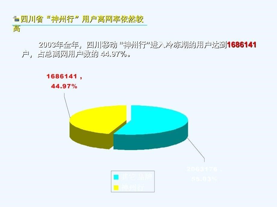 《精编》“神州行”品牌整合方案分析_第5页