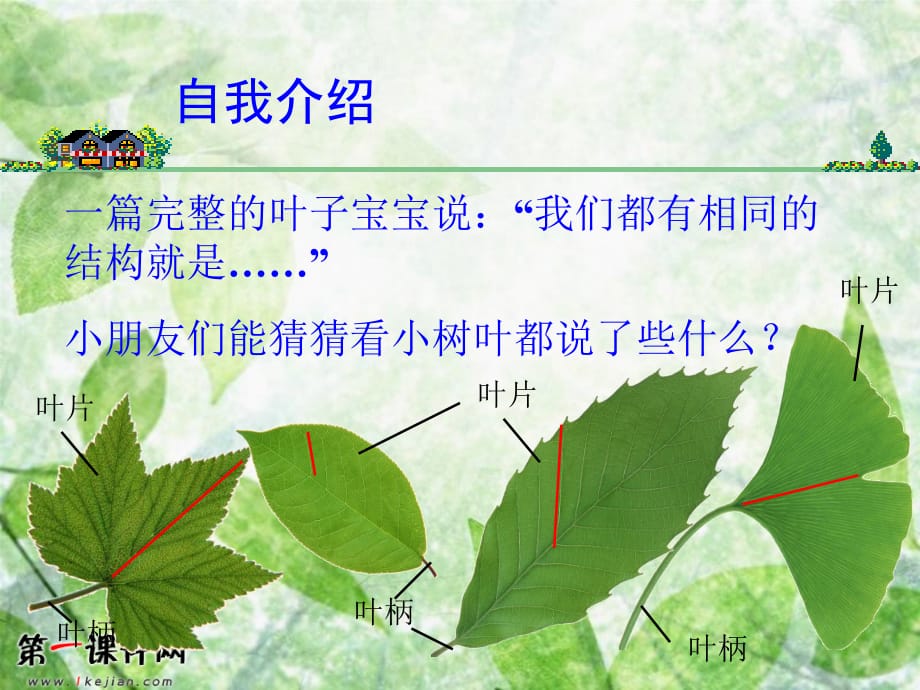 （青岛版五年制）小学四年级科学上册课件《植物的叶》.ppt_第4页