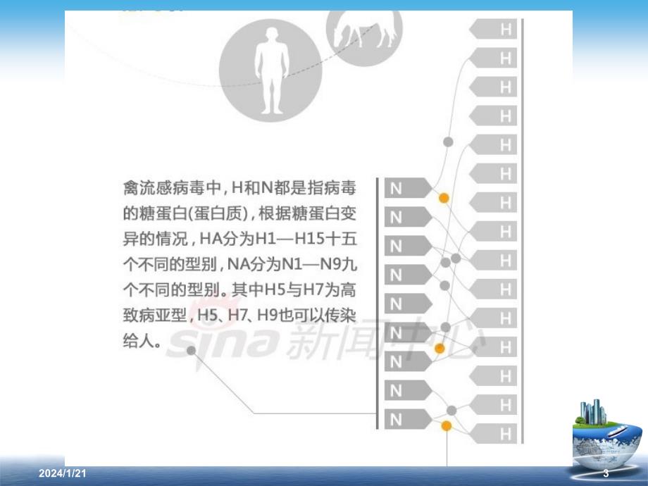 hn禽流感的防治_第3页