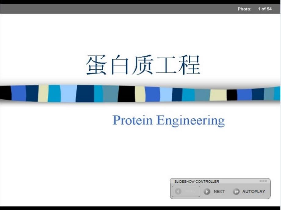 蛋白质教学计划课件_第1页