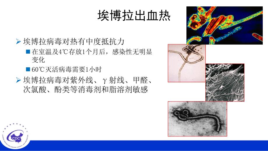 全院学习-埃博拉出血热EHF诊疗及防控_第3页