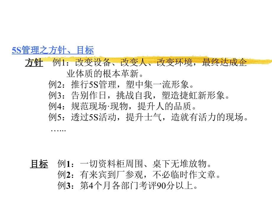 《精编》5S管理方针和推行计划_第5页