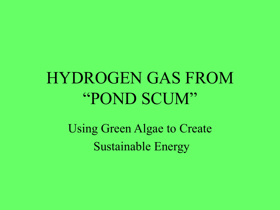 HYDROGEN GAS FROM POND SCUM - Pace University.ppt_第1页