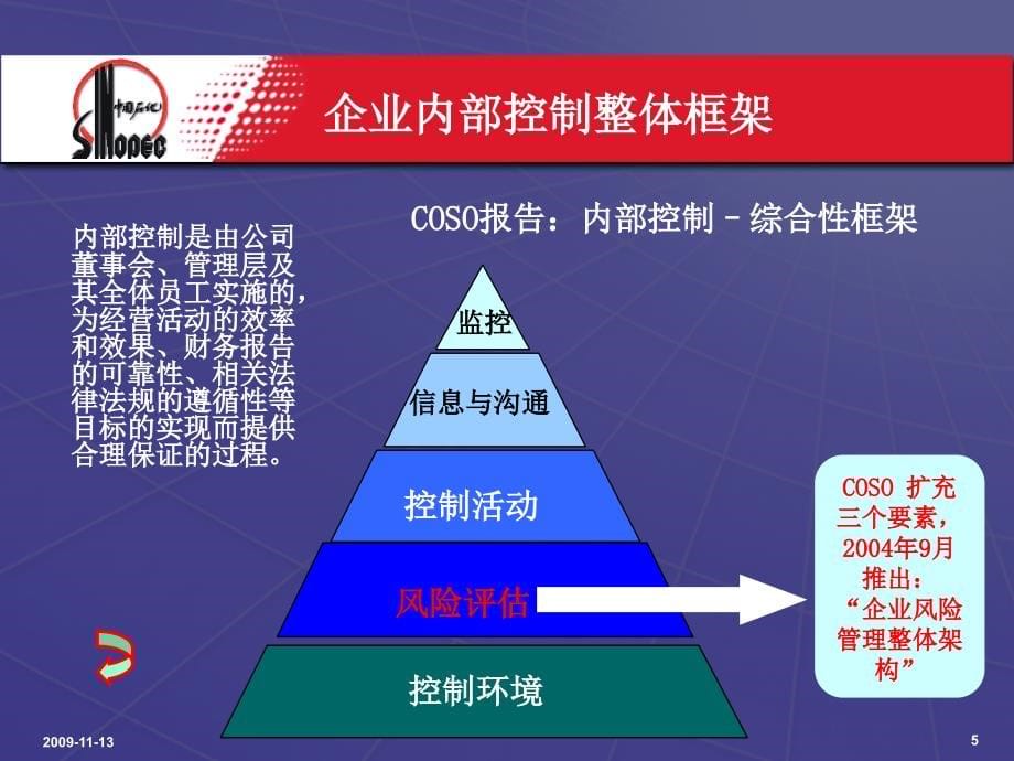 《精编》中国石化内部控制及评价_第5页