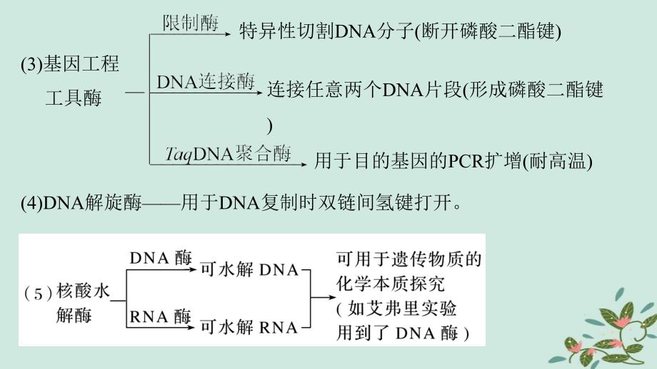 （通用版）2019版高考生物二轮复习 专题二 细胞代谢 考点1 酶与ATP课件_第3页