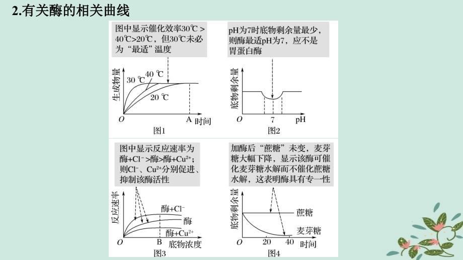 （通用版）2019版高考生物二轮复习 专题二 细胞代谢 考点1 酶与ATP课件_第5页