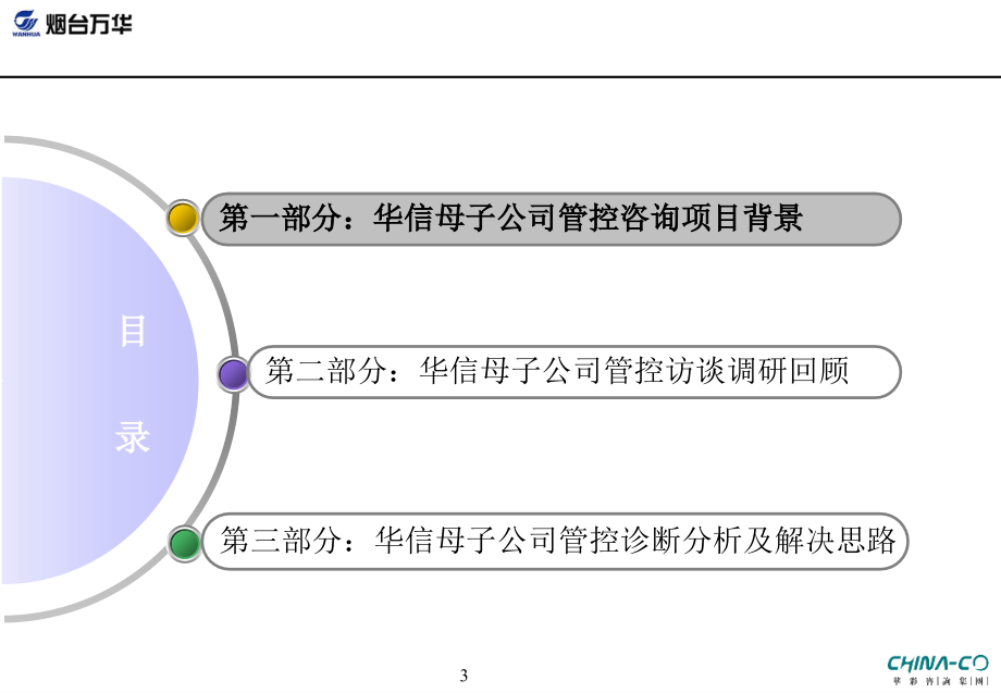 《精编》华信母子公司管控诊断报告_第3页