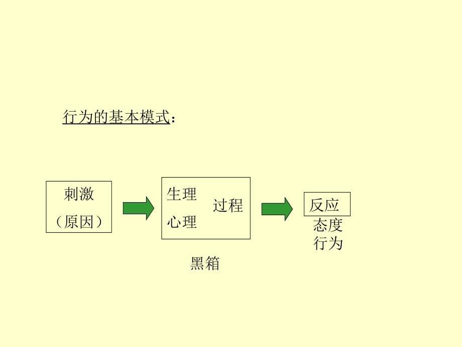 《精编》精细化营销策略概述_第5页