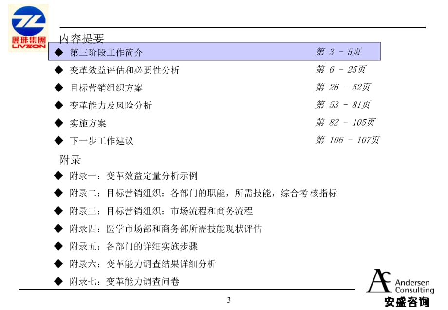 《精编》某集团营销系统终期报告_第3页