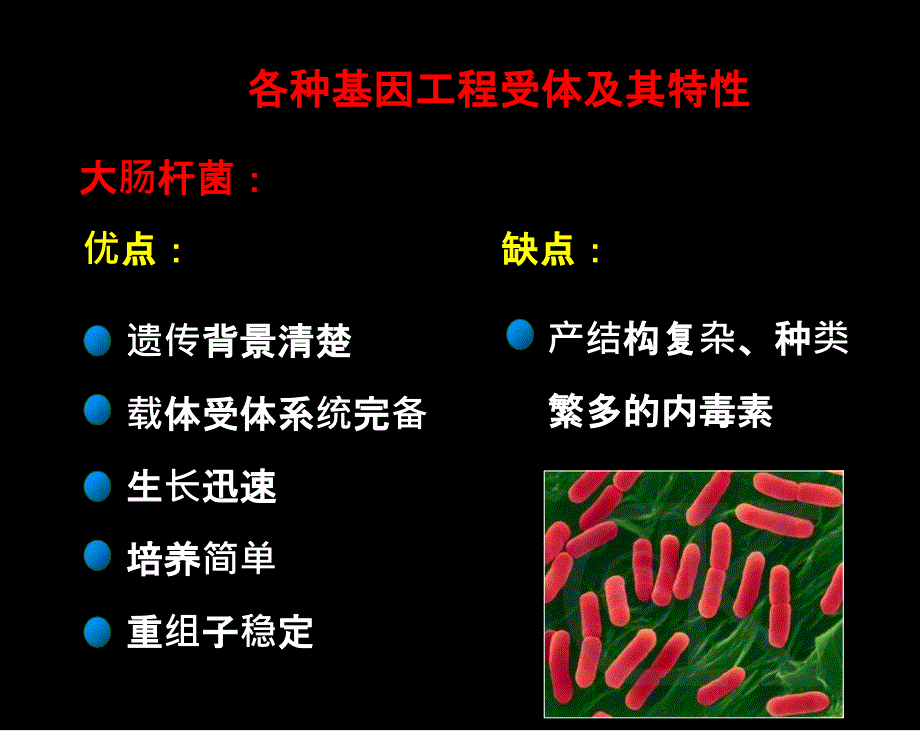 第二章-4 基因工程受体菌或细胞_第4页