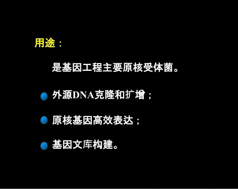 第二章-4 基因工程受体菌或细胞_第5页