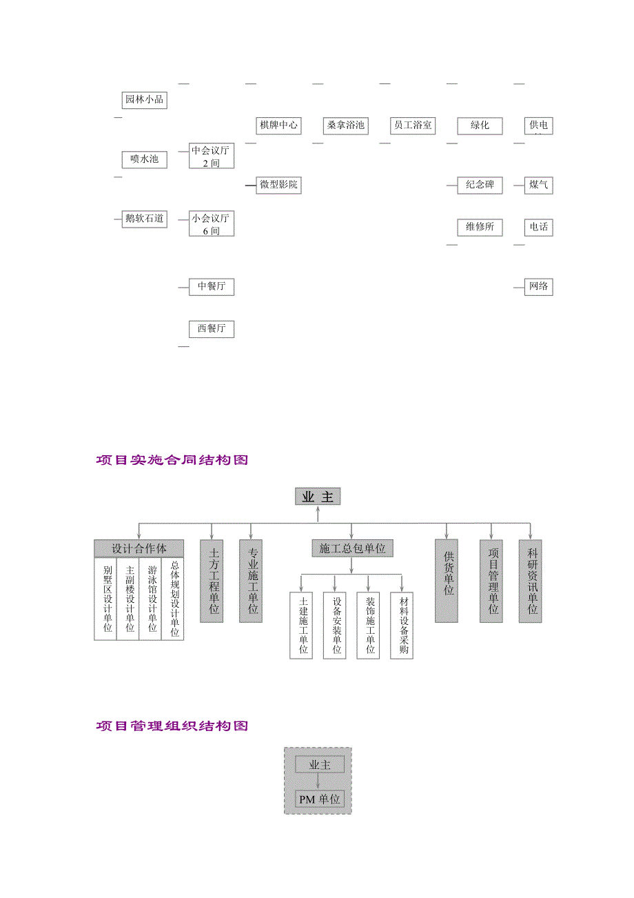 《精编》项目管理组织结构图与管理任务_第2页