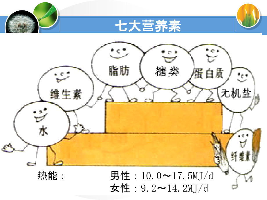 第八章-饮食护理_第3页