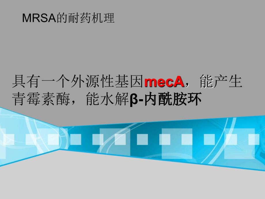 耐甲氧西林金黄色葡萄球菌（MRSA)检测课件.ppt_第4页