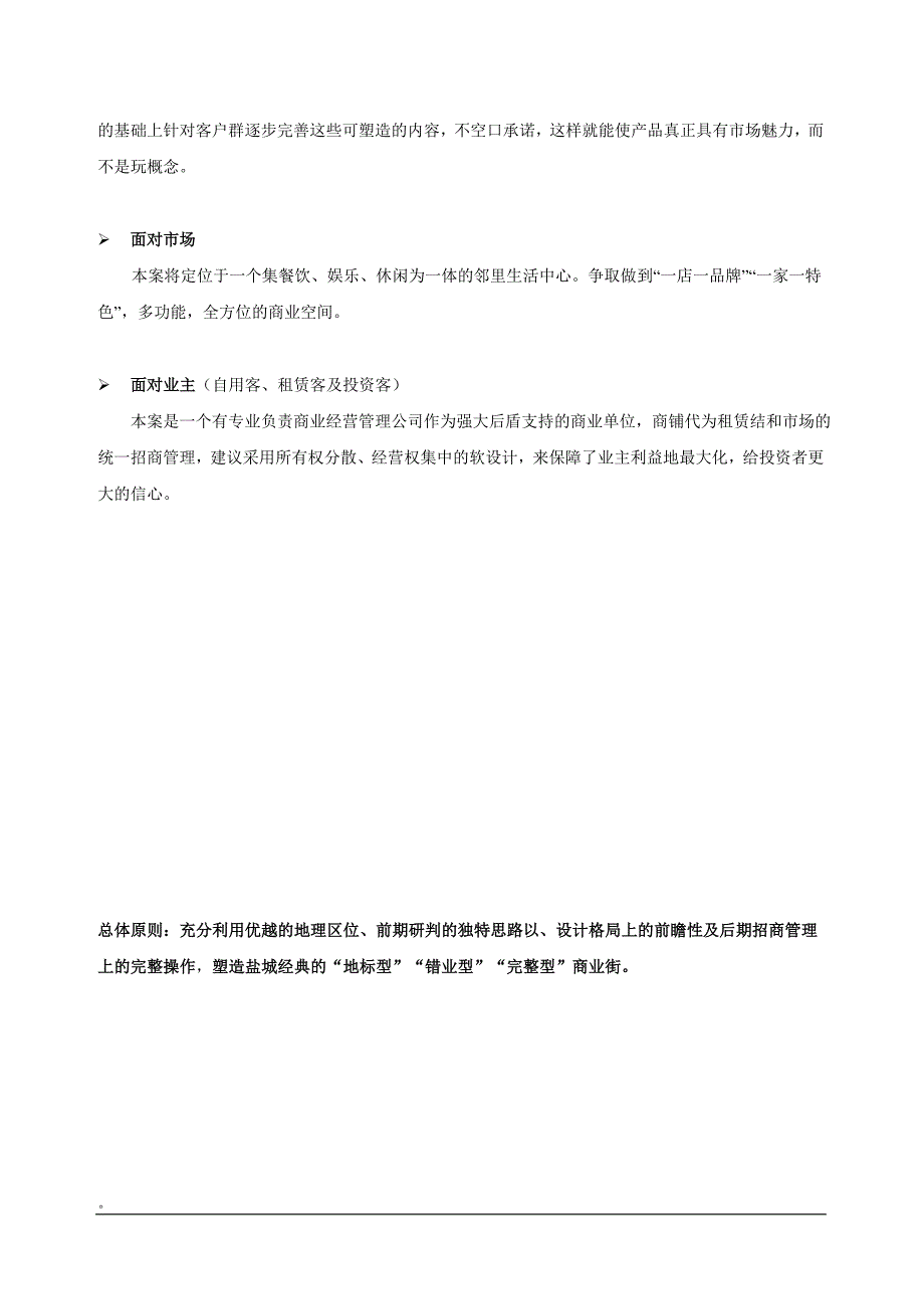 盐城玉龙南路商业街销售策划建议方案_第4页