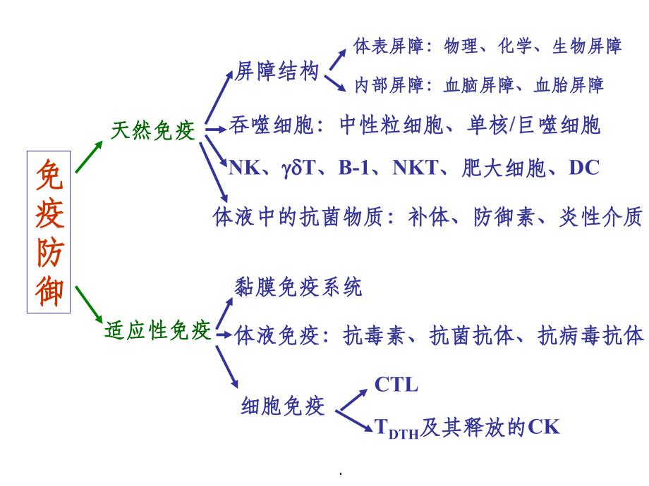 第九章 固有免疫_第3页