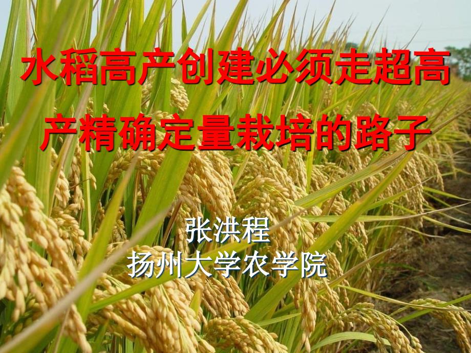 水稻高产创建必须走超高产精确定量栽培的路子--扬州大学张洪程.ppt_第1页