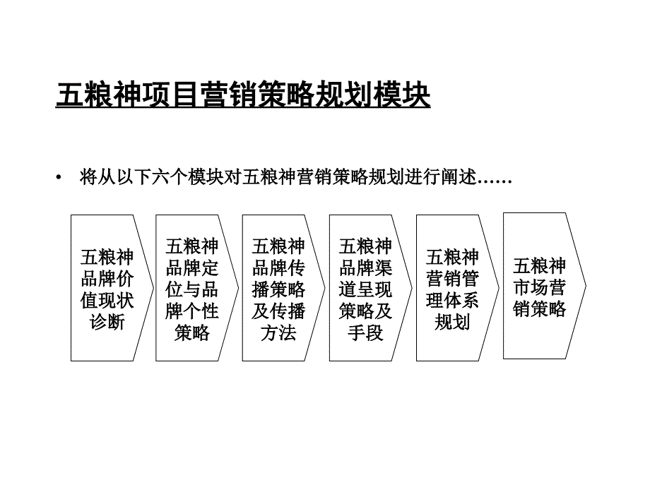 《精编》五粮神品牌营销策略规划_第2页