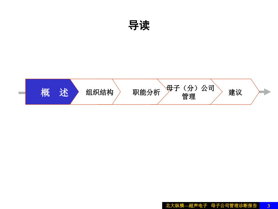 《精编》某母子公司管理诊断报告_第3页