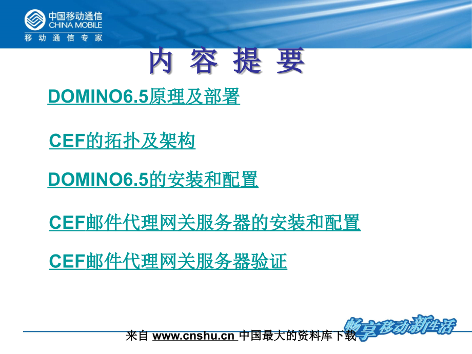 《精编》CEF-DOMINO安装配置培训管理手册_第2页