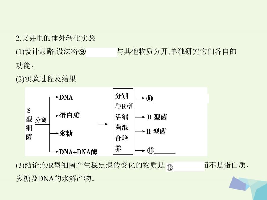 （新课标）2018高考生物一轮复习 遗传与进化 第5单元 遗传的细胞基础和分子基础 第14讲 基因的本质课件（必修2）_第4页