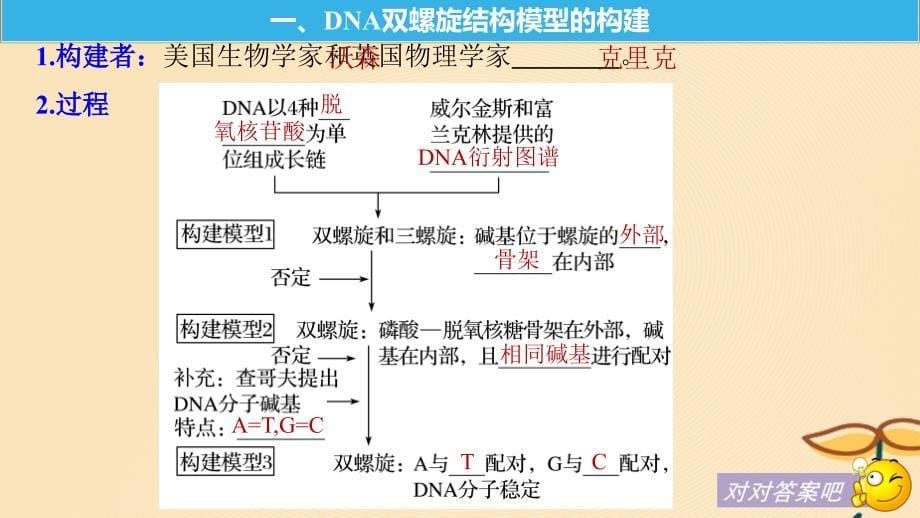 （粤渝冀辽苏皖闽鄂湘津京鲁琼专用）2018-2019学年高中生物 第3章 基因的本质 第2节 DNA分子的结构课件 新人教版必修2_第5页