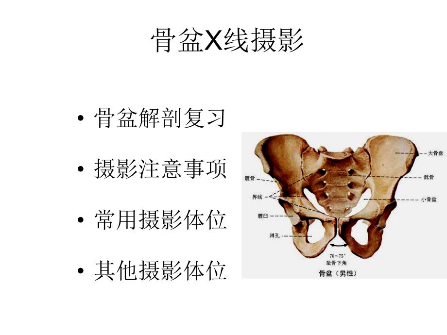 骨盆X线摄影课件.ppt_第1页