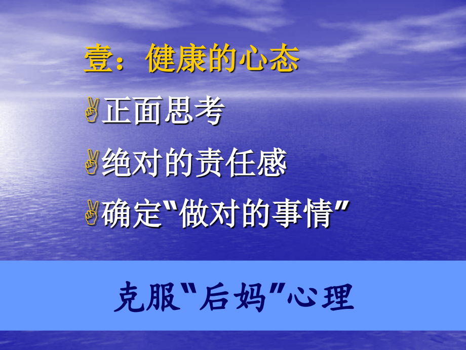 《精编》统一集团新品上市企划报告_第4页