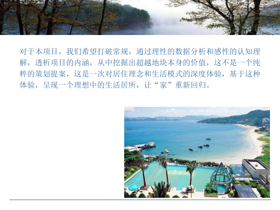 《精编》三盛南香湖房地产项目概念性定位_第4页