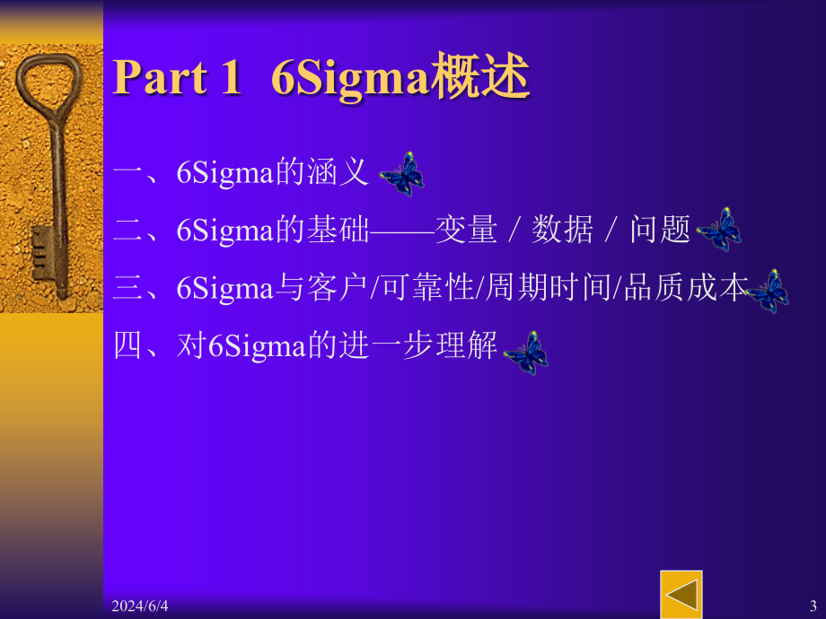 《精编》6sigma管理的实施策略_第3页