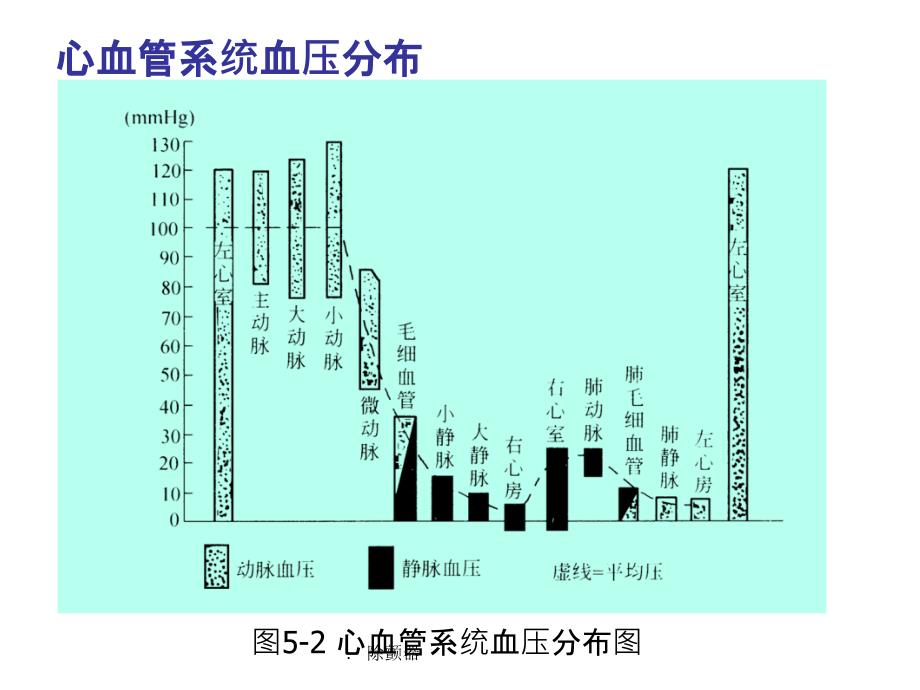 第4章 血压测量_第3页