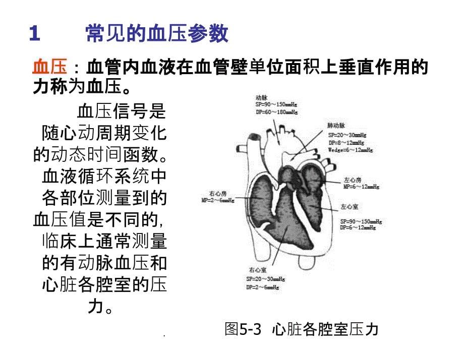 第4章 血压测量_第5页