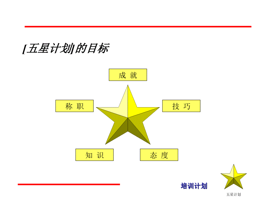 《精编》五星计划的组成及目标_第3页