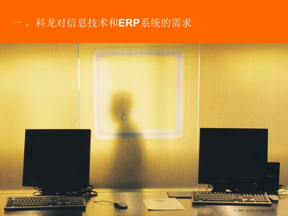 《精编》某公司企业资源计划（ERP）系统培训_第3页