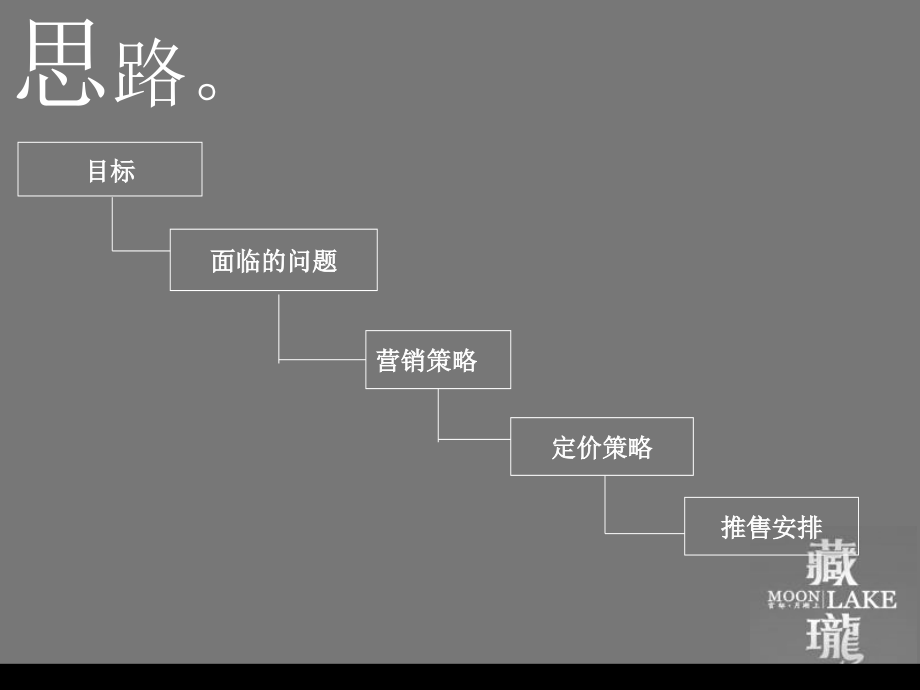 《精编》某独立别墅营销执行案例_第3页