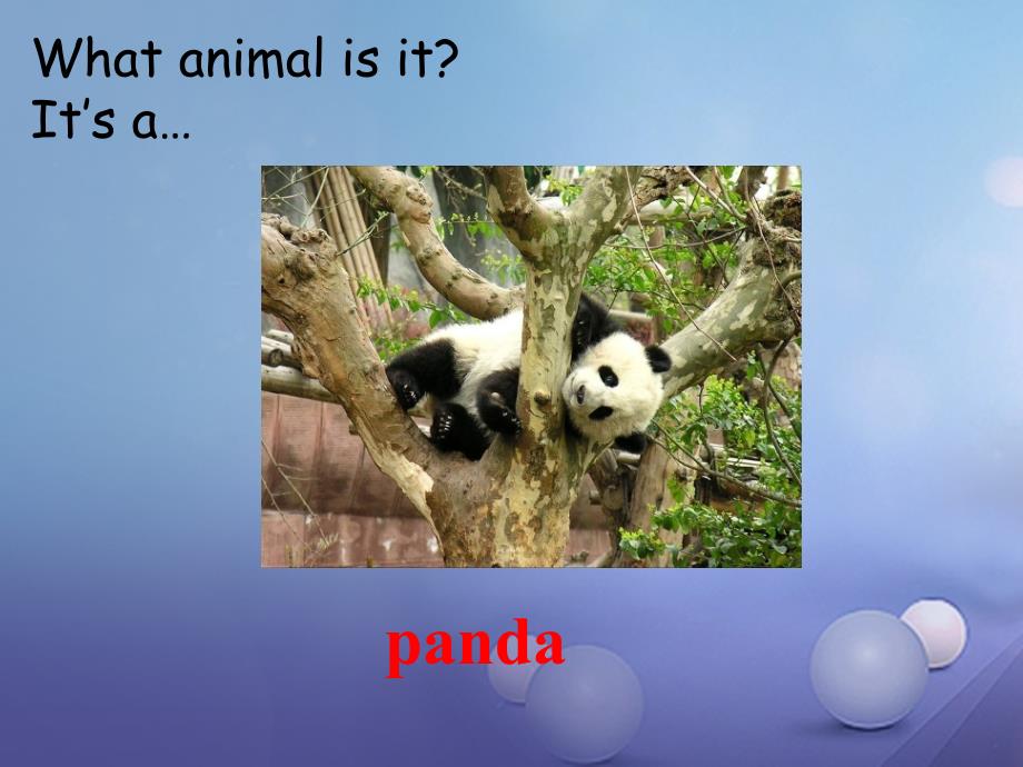 （水滴系列）七年级英语下册 Unit 5 Why do you like pandas（第1课时）New words and phrases课件 （新版）人教新目标版_第4页