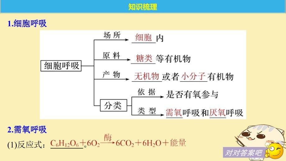 （浙江选考）2019版高考生物一轮总复习 第二单元 细胞的代谢 第7讲 细胞呼吸课件_第5页