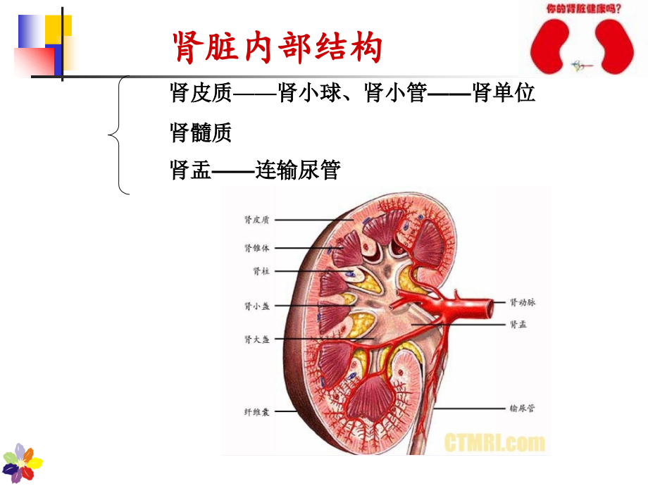 慢性肾衰竭的护理 (2)_第3页