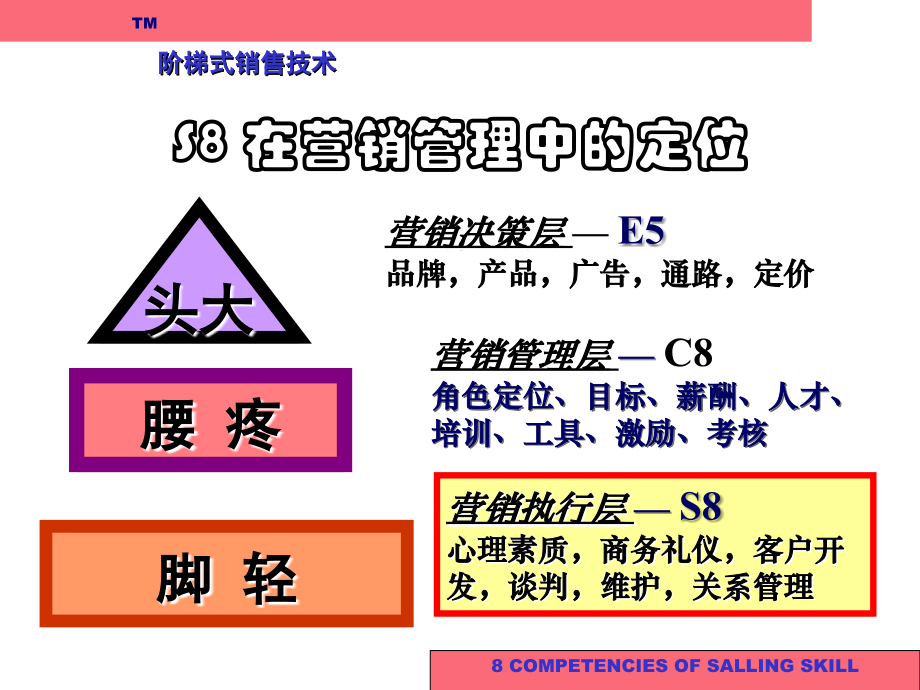 《精编》S8TM阶梯式销售管理技巧方案_第3页