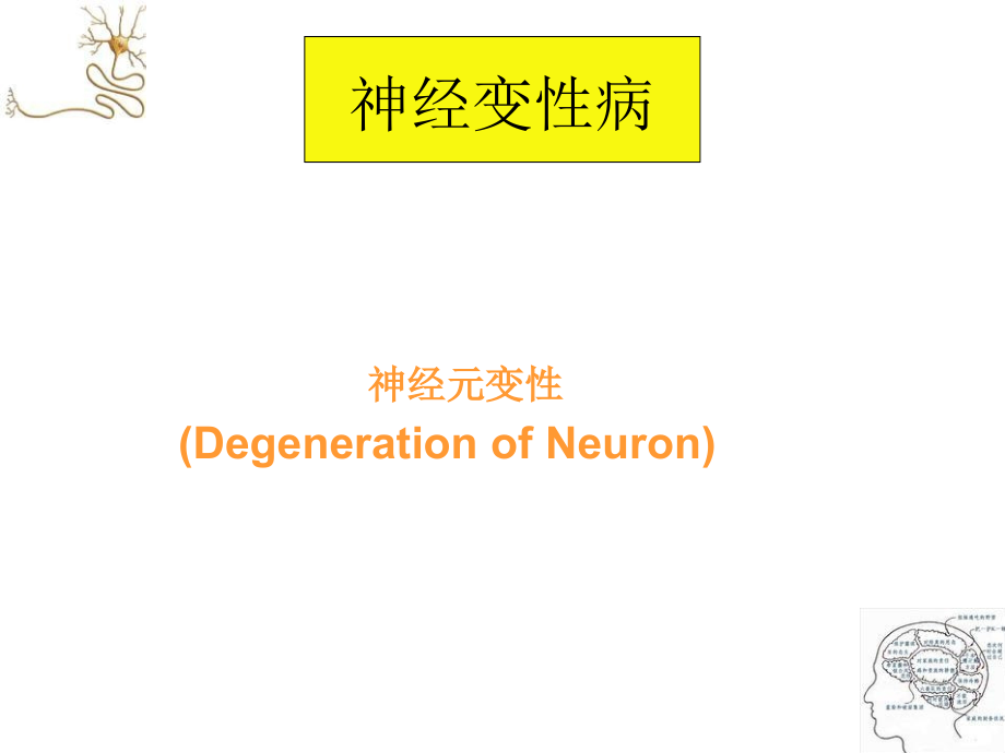 神经变性病_第4页