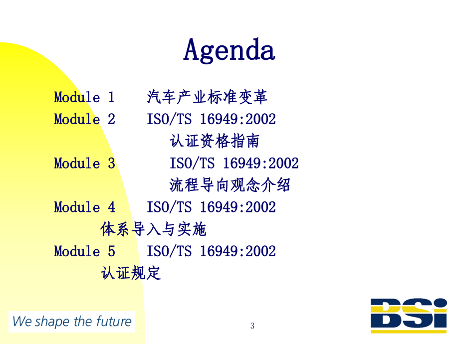 《精编》ISO、TS16949：2002概述_第3页