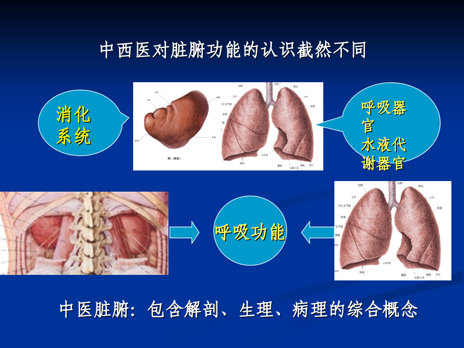 第三章 藏象学说2011.2(学生).ppt_第3页