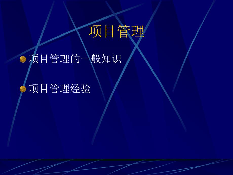 《精编》项目管理的目标及其内容_第2页