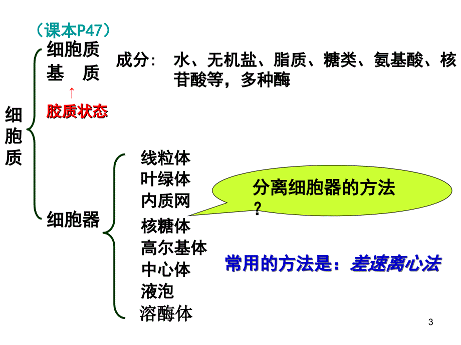 细胞器正式(课堂PPT)_第3页