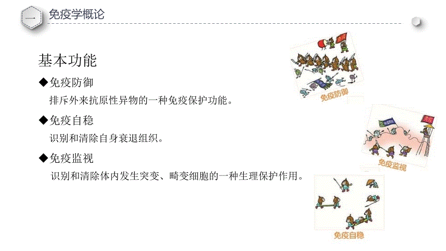 免疫学基础知识（5.4）_第4页