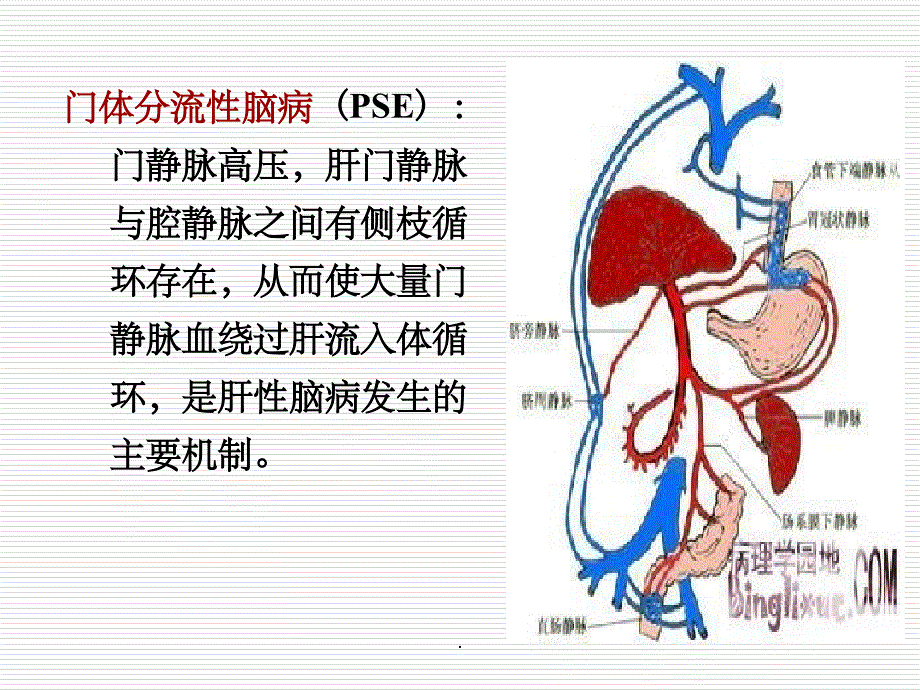 内科护理学-肝性脑病ppt课件_第3页