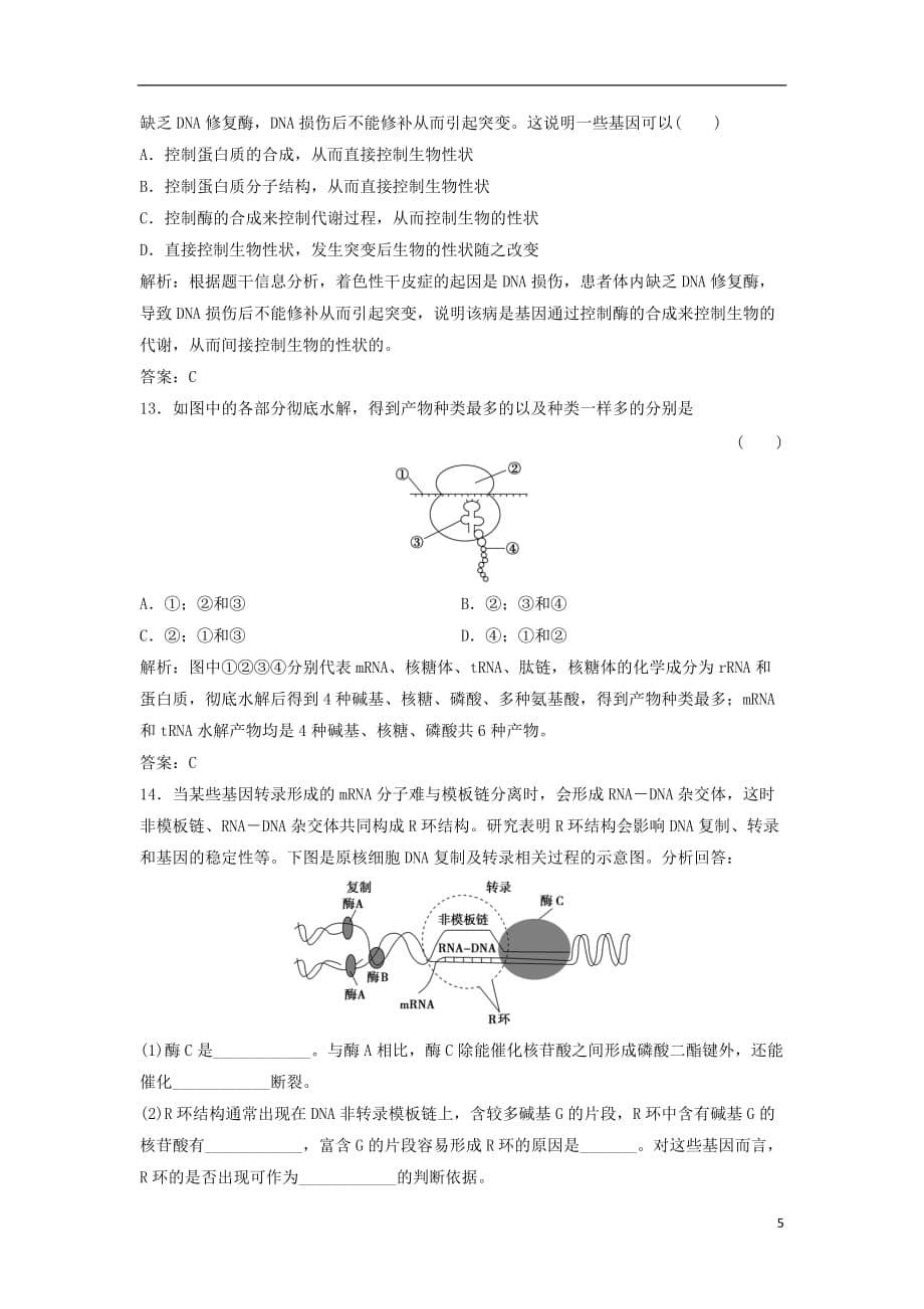 高考生物一轮复习第一部分第五单元遗传的分子基础第16讲基因的表达练习新人教版_第5页