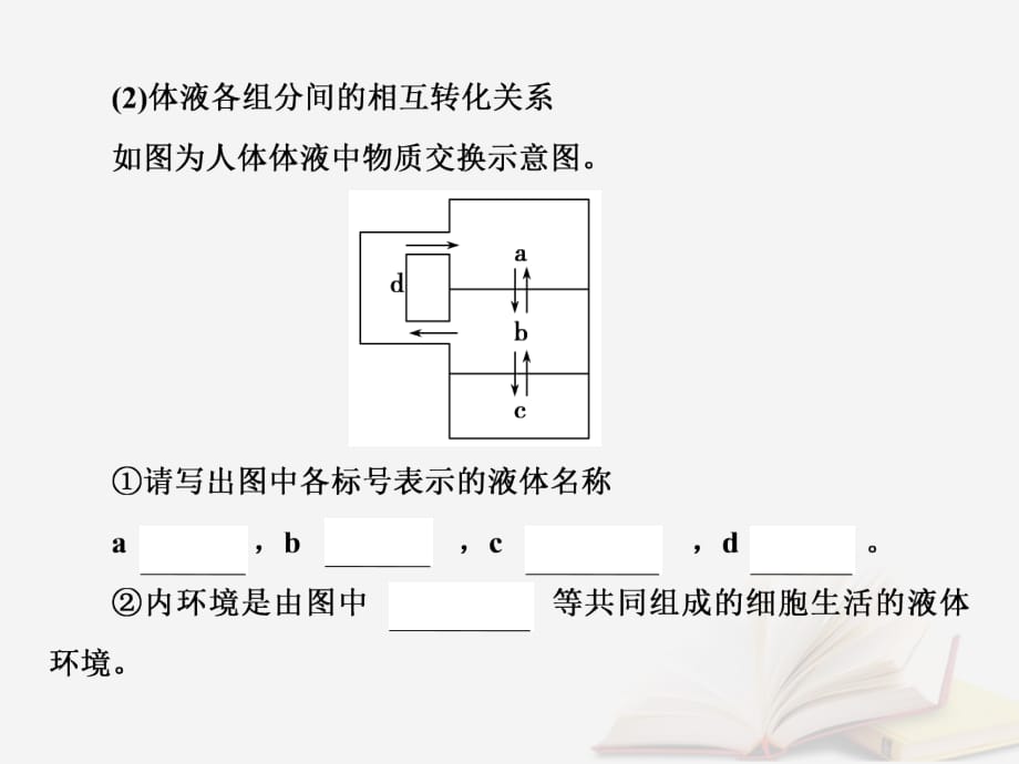 高考生物一轮复习第八单元生命活动的调节第24讲人体内环境的稳态及其实例课件新人教版_第4页