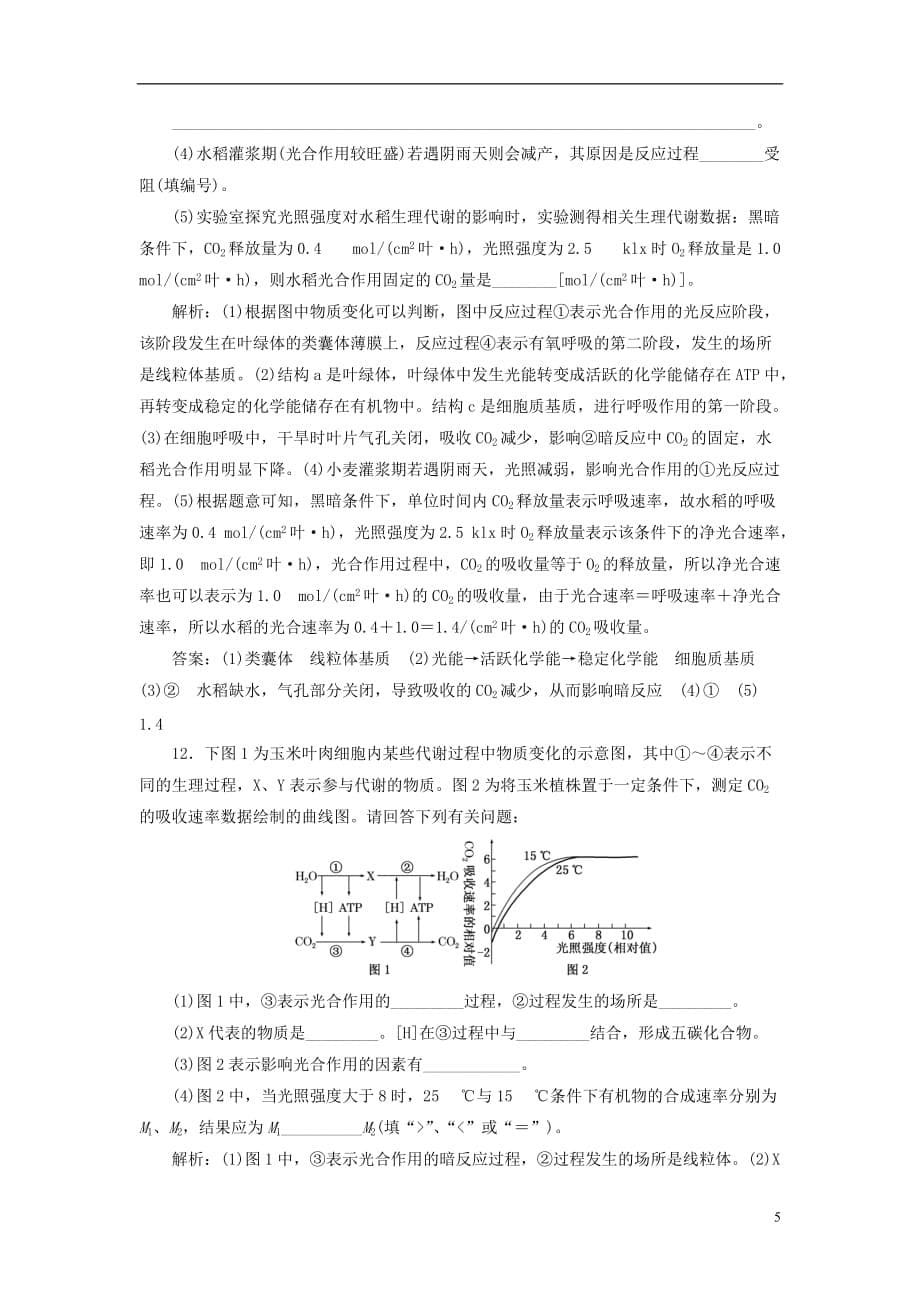 高考生物一轮复习第一部分分子与细胞第三单元细胞的能量供应和利用课时跟踪检测（十一）光合作用的探究历程与基本过程_第5页